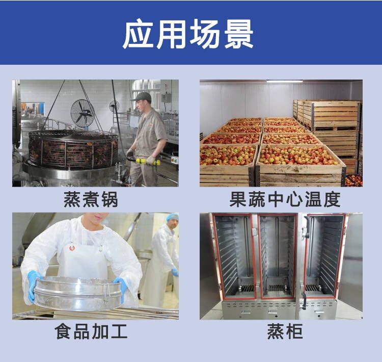 CYCW-302A 智能温度表 PT100探头 蒸锅蒸柜高温测量 专业厂家生产