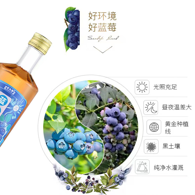 OEM OEM processing of blueberry liqueur OEM OEM branded customized health wine network red wine Tiktok Kwai selection