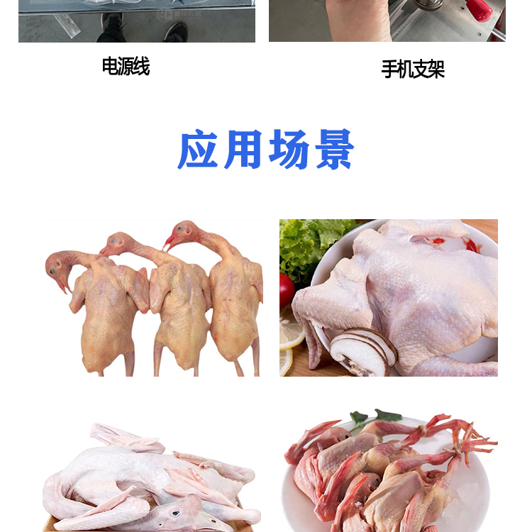 Iced Fresh Chicken Packaging Machine Model Yongchuan 600 Fresh Goose Bagging Machine Frozen Pigeon Preservation Packaging Equipment