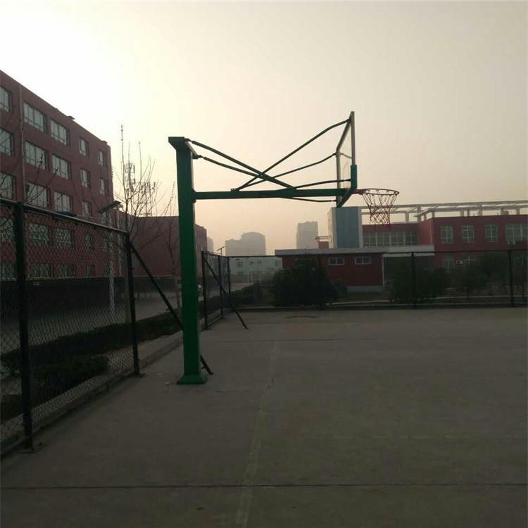 亞君 供應家用升降 可移動戶外青少年比賽訓練籃球架(圖4)