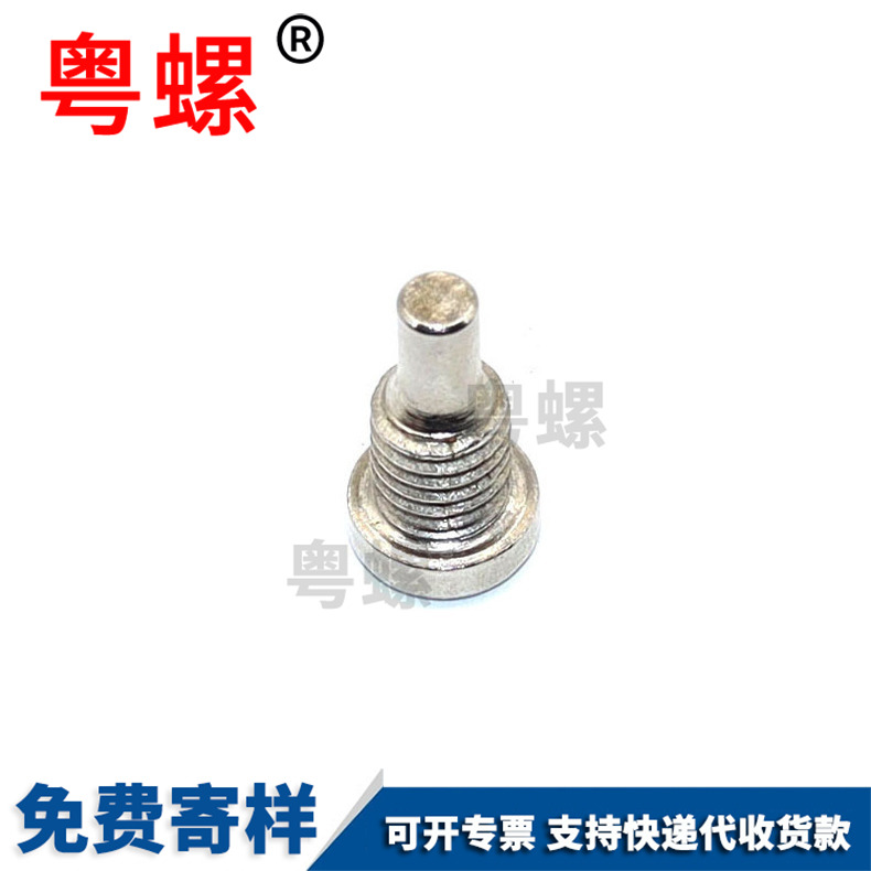 Plug screw 304 316 stainless steel plug screw comes with non-standard customization