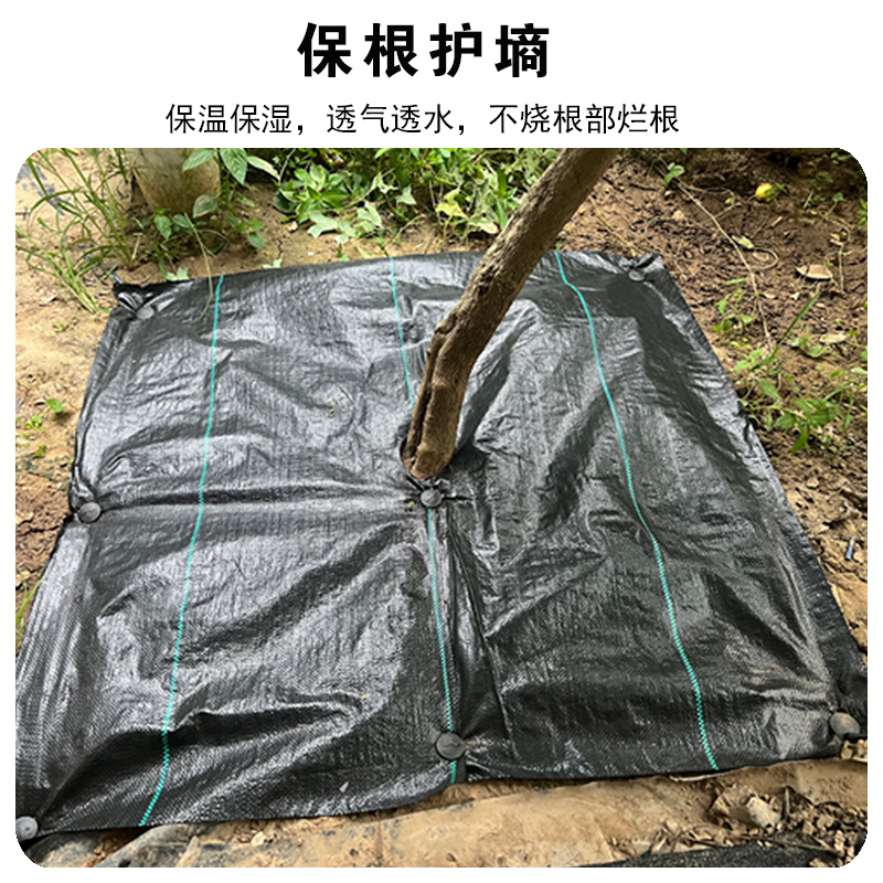 Kailizi perforated ground cloth, grass proof cloth, agricultural orchard grass suppression cloth, garden moisturizing and durable grass covering cloth, support customization