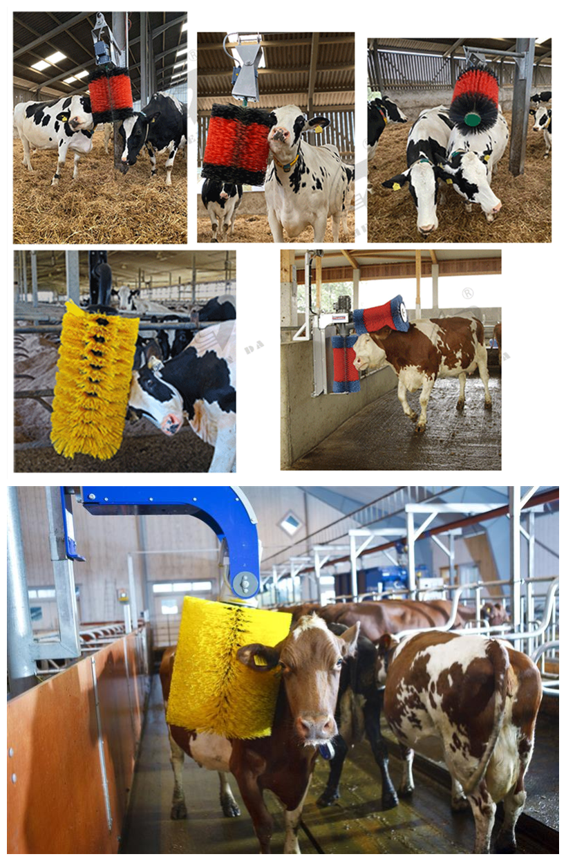 Cow Scratching, Antiitching and Cleaning Cow Body Brush Fully Automatic Cow Massage Nylon Silk Brush Roller