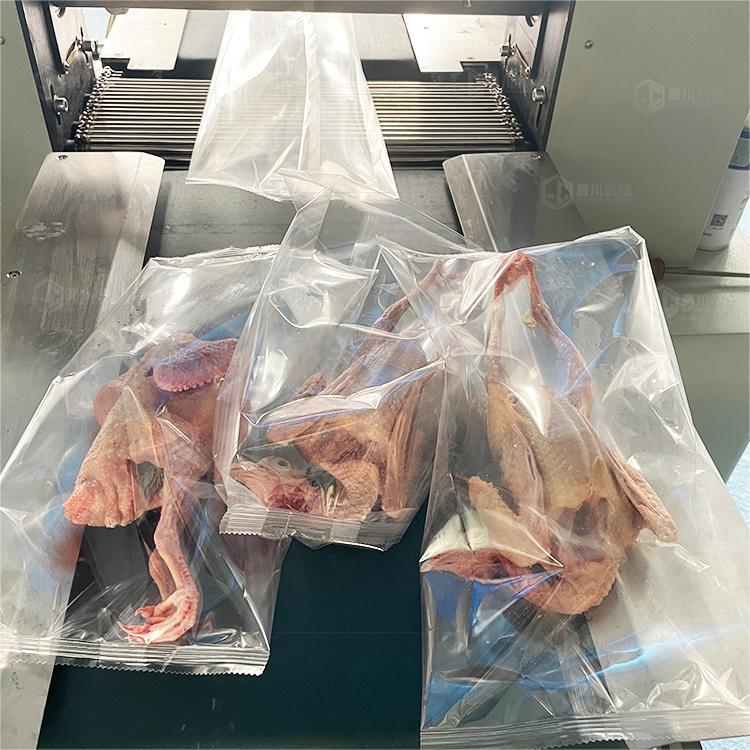 Iced Fresh Chicken Packaging Machine Model Yongchuan 600 Fresh Goose Bagging Machine Frozen Pigeon Preservation Packaging Equipment