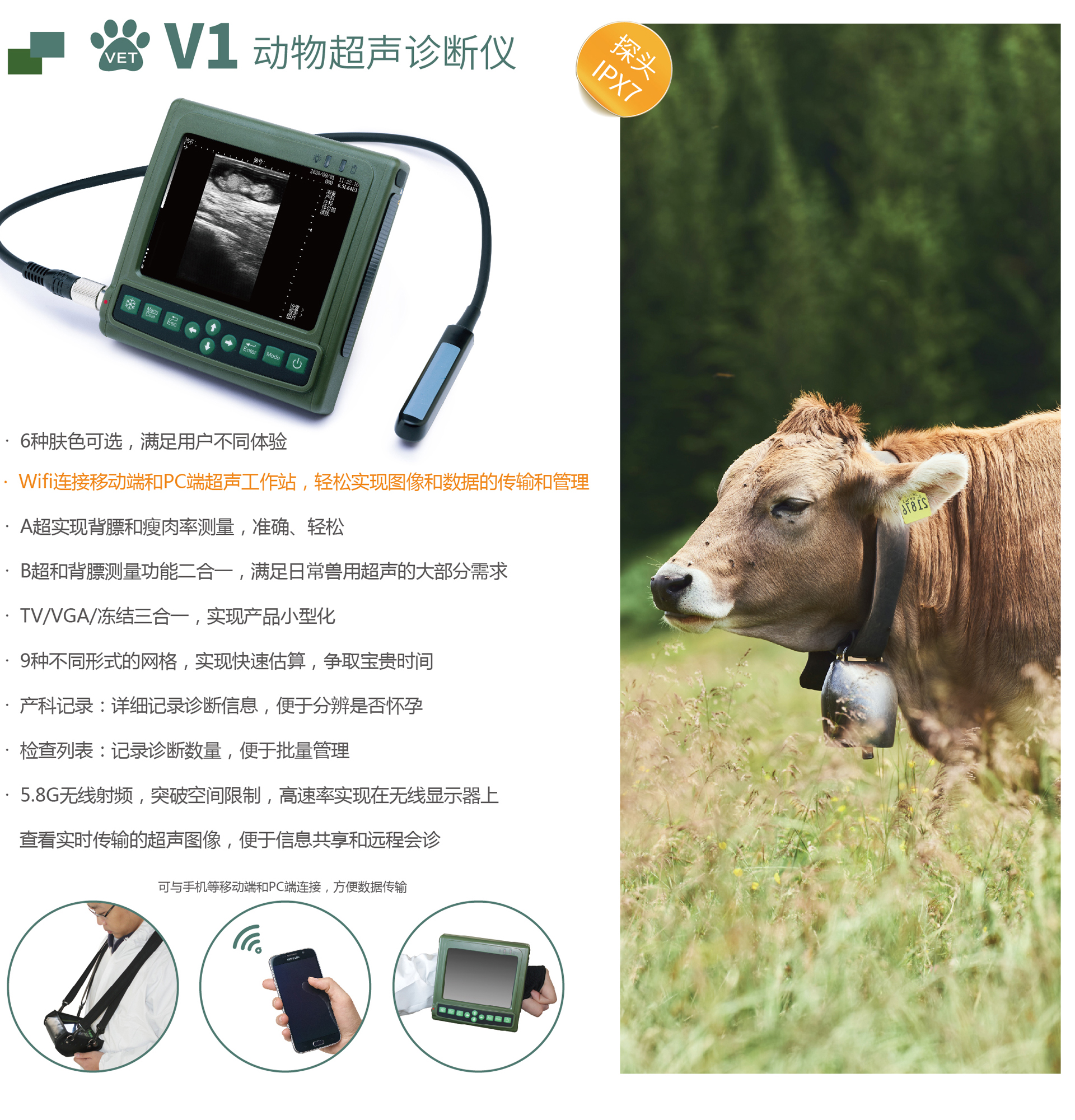 Portable B-ultrasound machine for cattle, horses, and large animals, strap type B-ultrasound machine, supplied by Kaixin Electronics V1