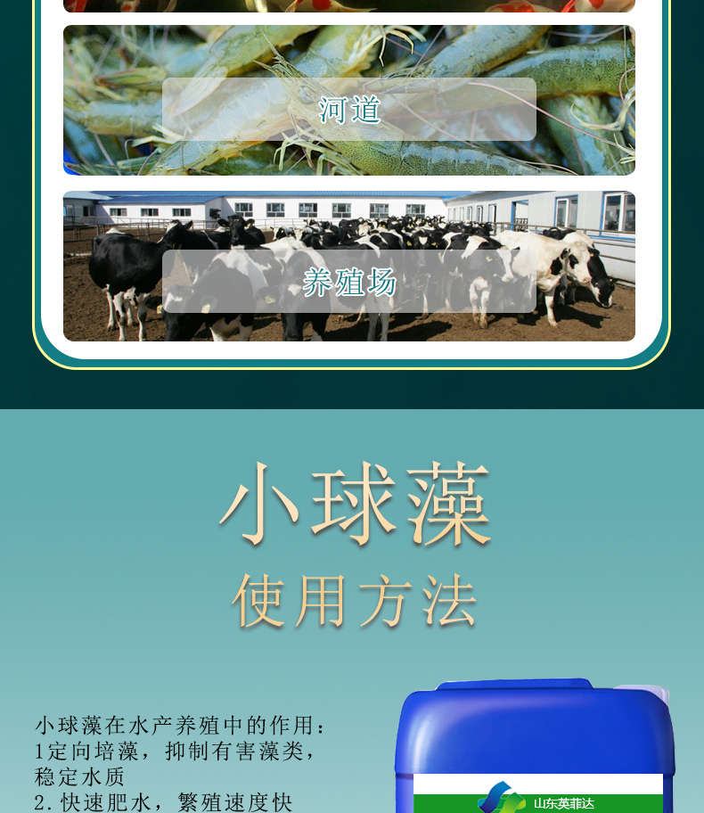 Liquid Chlorella Fish, Shrimp, and Crab Pond Culture, Targeted Algae Cultivation, Fertilizer, Water Promotion, and Opening Feed for Seedling Growth