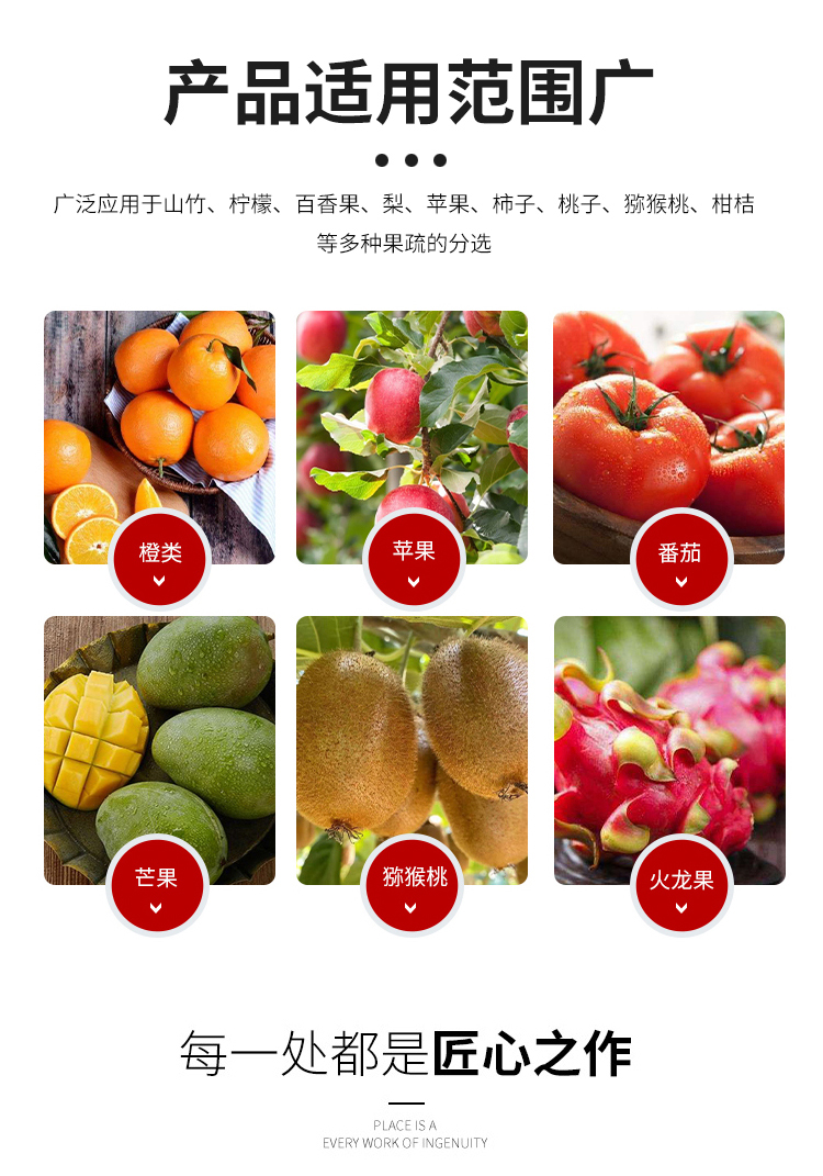 Fruit sorting machine avocado weight classifier dragon fruit mango apple citrus fruit selection equipment