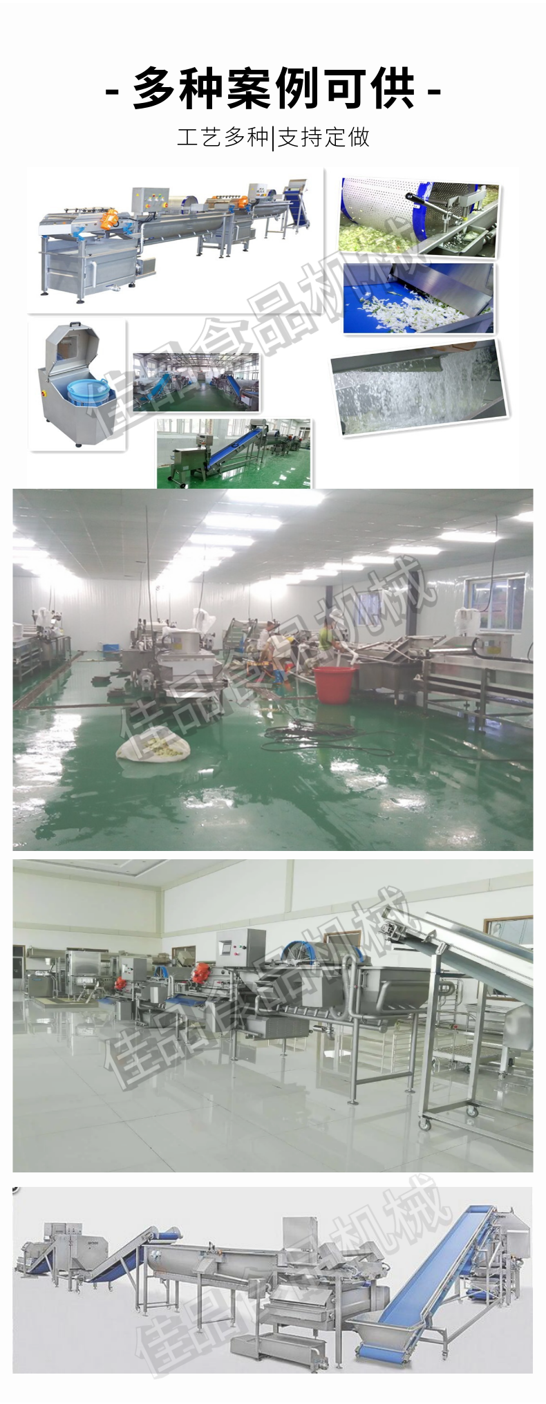 Supplier of a complete set of equipment for the processing of celery, beans, lettuce, and okra on the Jiabrand root and stem clean vegetable processing assembly line