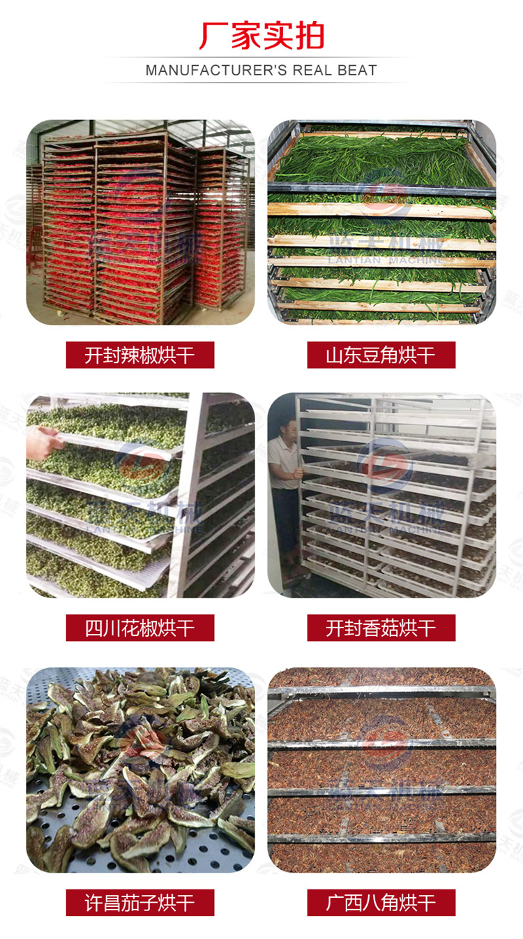 Blue Sky Box Pepper Drying Machine Elephant Nose Pepper Devil Pepper Red Line Pepper Chopping Pepper Drying Box Assisting Agriculture Project