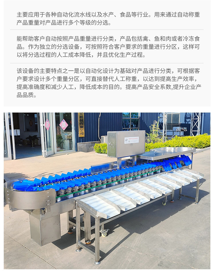 Oyster Material Box Sorter White Striped Chicken Online Weighing and Sorting Equipment Seafood Sorter