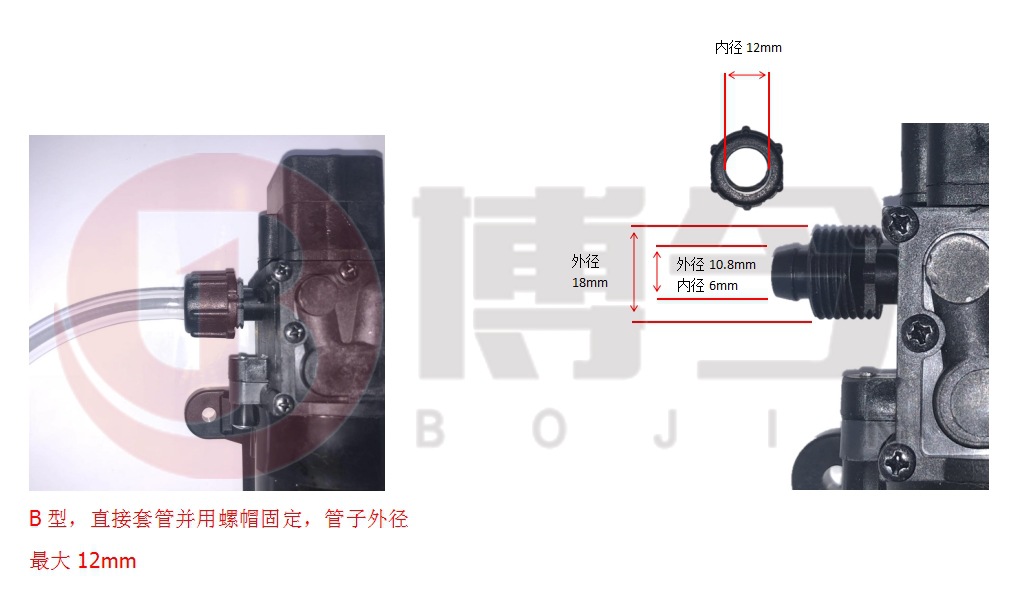 12V24V48V36W self-priming pump electric spray disinfection diaphragm pump agricultural DC garden cooling reflux pump