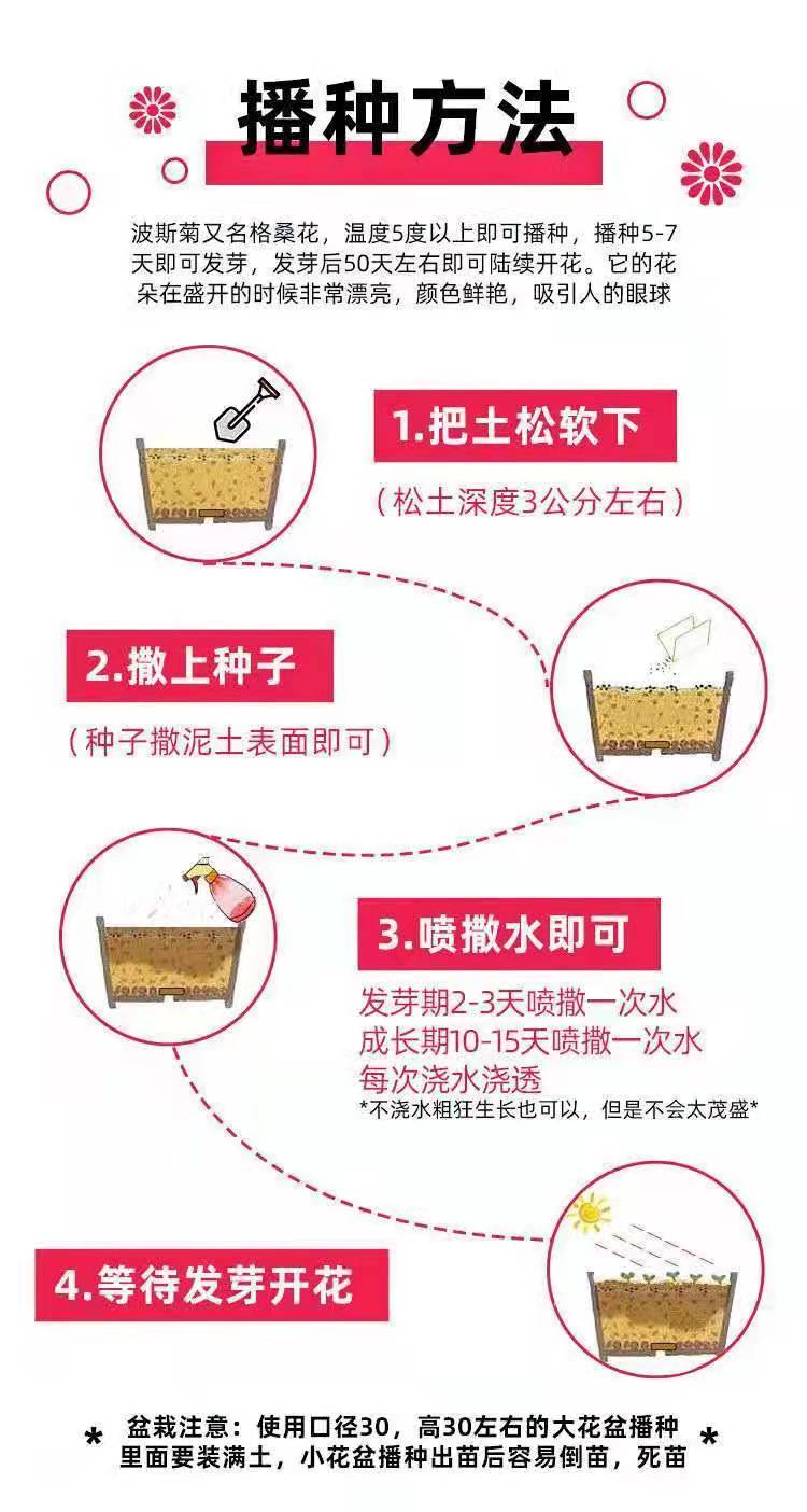 Good germination rate of mother-in-law seeds, providing planting technical support, express delivery