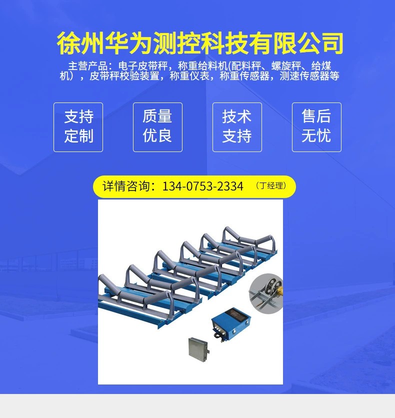 Customized electronic belt scale galvanized chain code feeder accessories validation cycle chain code