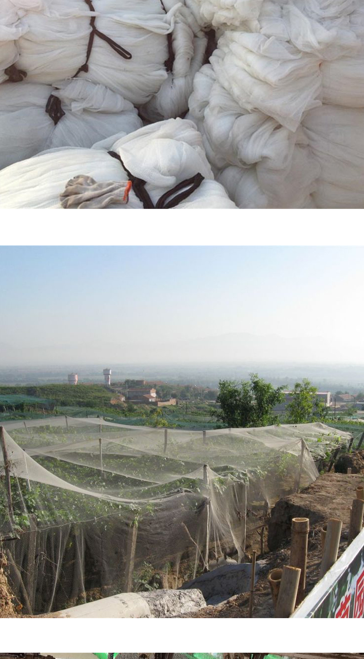 White polyethylene hail net, fruit tree orchard hail net, vegetable greenhouse wind net