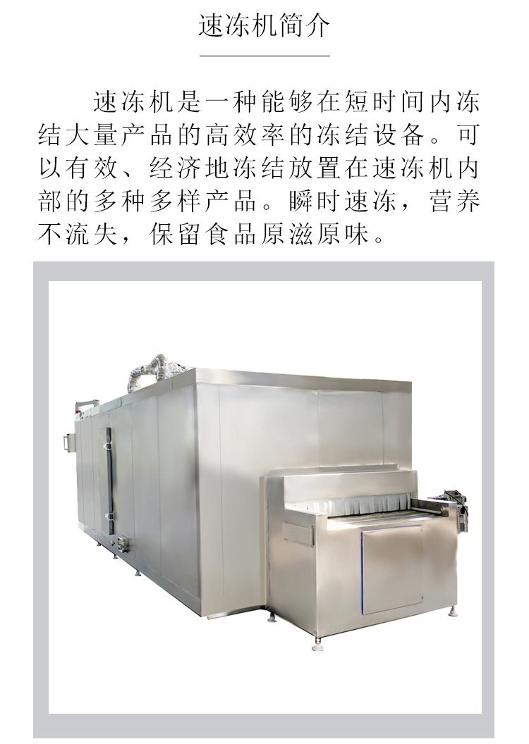 Huayuan Automatic Shrimp Quickfreeze Machine Aquatic Fresh Frozen Equipment Ice Bag Refrigerator HY-874