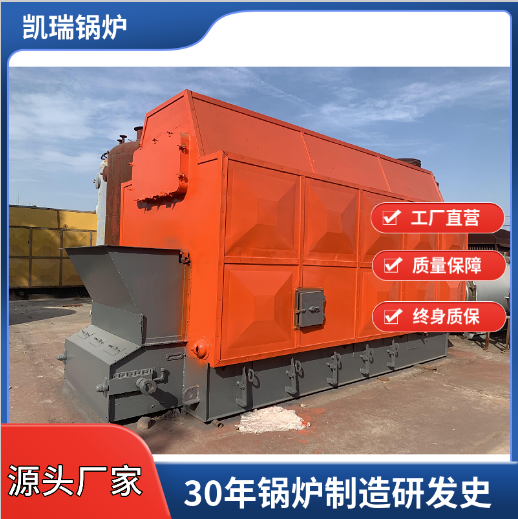 Factory supply DZL6-1.25-T biomass steam boiler chain grate particle industrial boiler