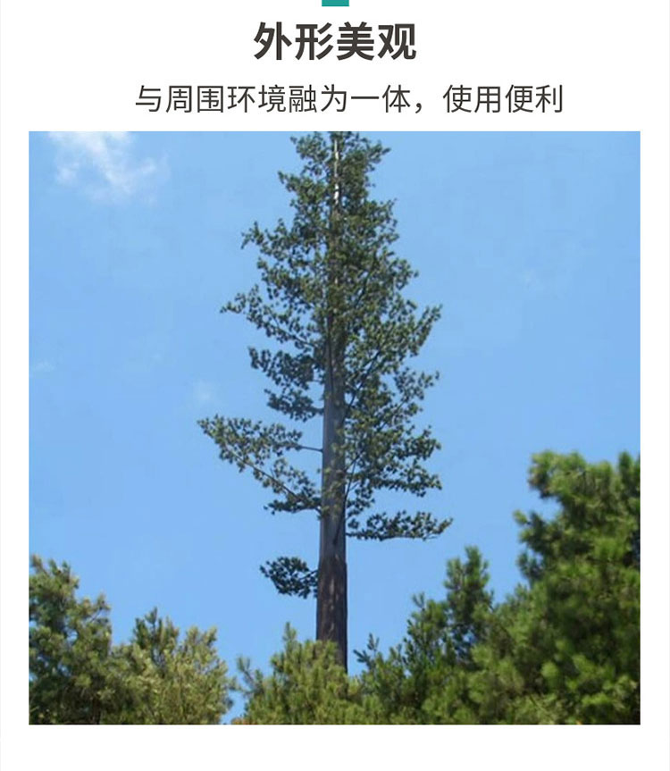 Kaifeng Biomimetic Tree Tower Communication Signal Tower Landscape Biomimetic Tree Single Pipe Communication Tower with Strong Impact Resistance Customized by the Manufacturer