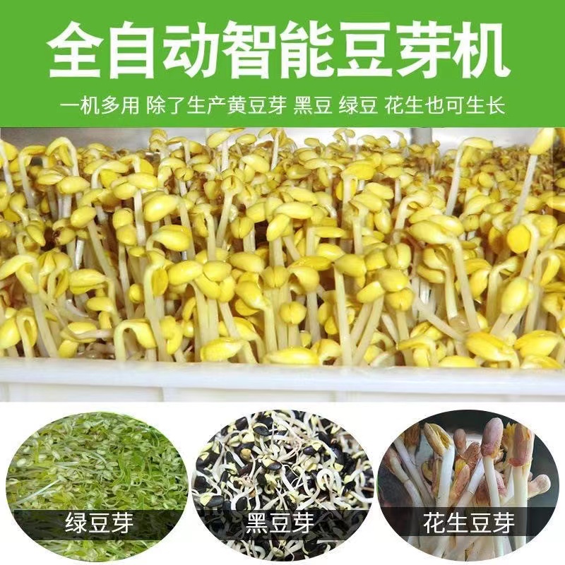 Manufacturer of multifunctional bean product equipment for a small daily production line of 300 kg bean sprout machine