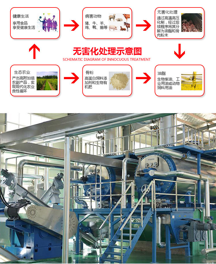 Harmless treatment equipment for sick and dead livestock and poultry Rapid disposal of animal diseases Drying machine Meat powder equipment Shi Hong