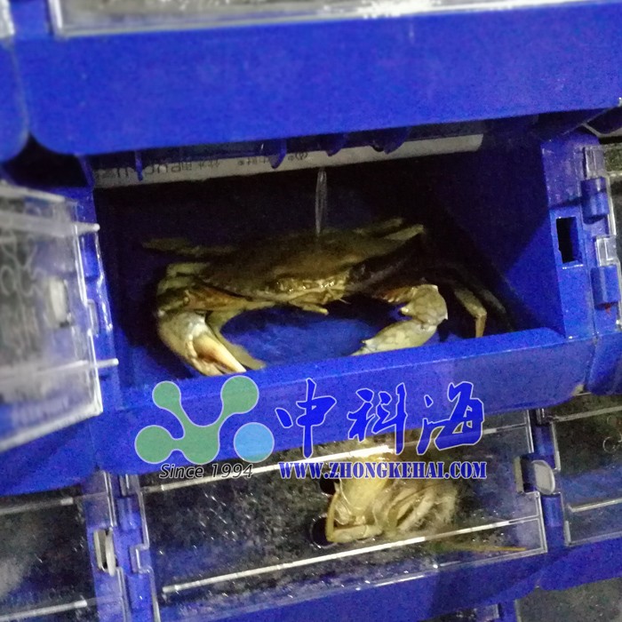 Crab Raising and Green Crab Recycling Water Technology Park, Getting Rich, Jinghuabo 3D Indoor Crab Apartment, Crab Raising Box, Crab Box