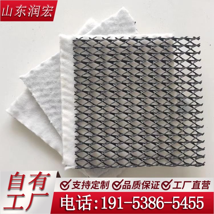 润宏 三维复合排水网 8.0mm 垃圾填埋场专用三维排水土工网厂家定制