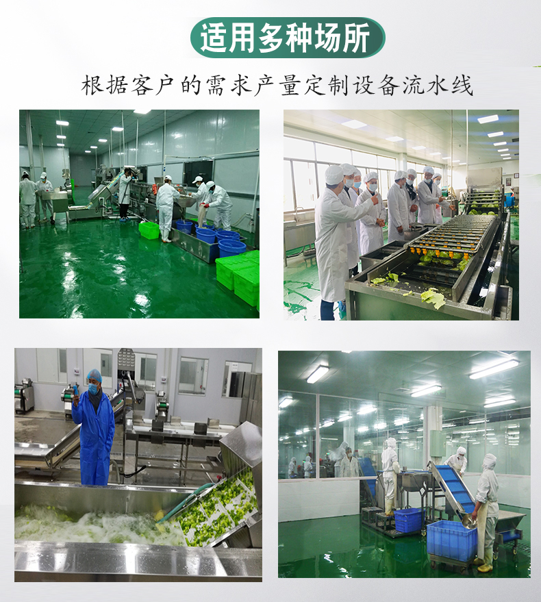 Customized Pepper Bubble Cleaning Machine Pepper Cleaning Equipment Stainless Steel Vegetable Washing Machine