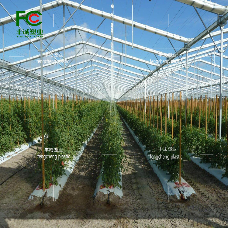 Cherry kiwi fruit tree planting, fully automatic and segmented shrinkage shelter, rain proof, waterproof, and hail proof tarpaulin