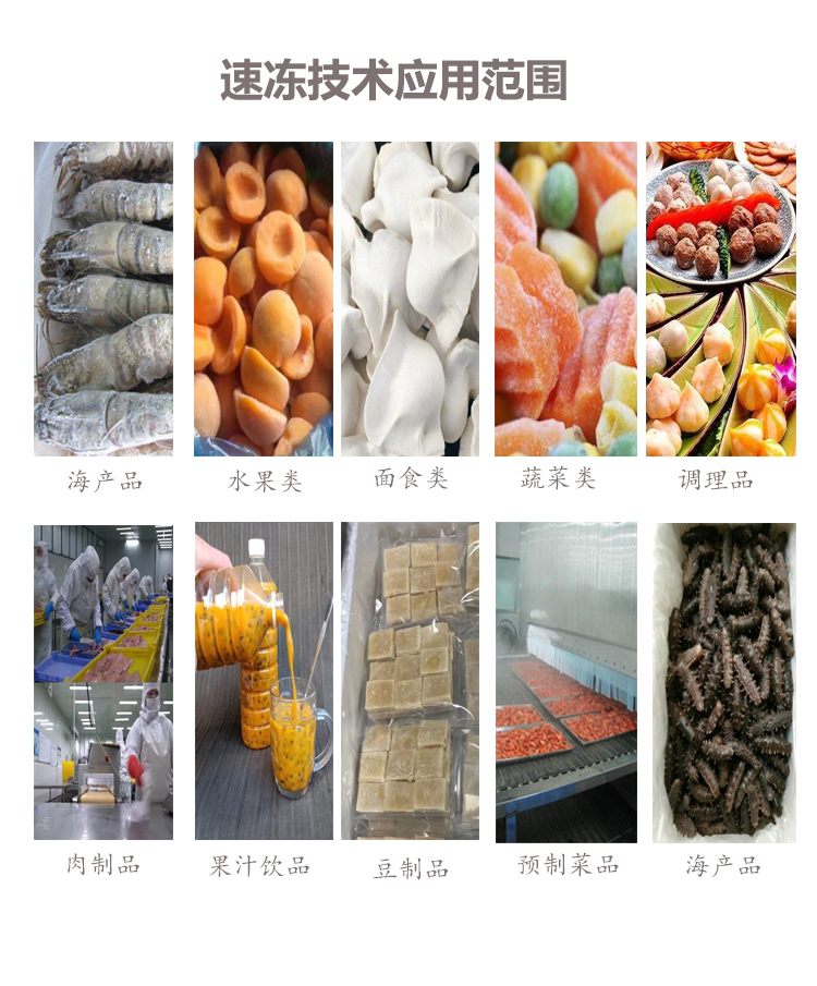 Instant Sea Cucumber Tunnel Type Quick Freezer Multifunctional Single Freezer Winged Fruit and Vegetable Low Temperature Quick Freezing Equipment