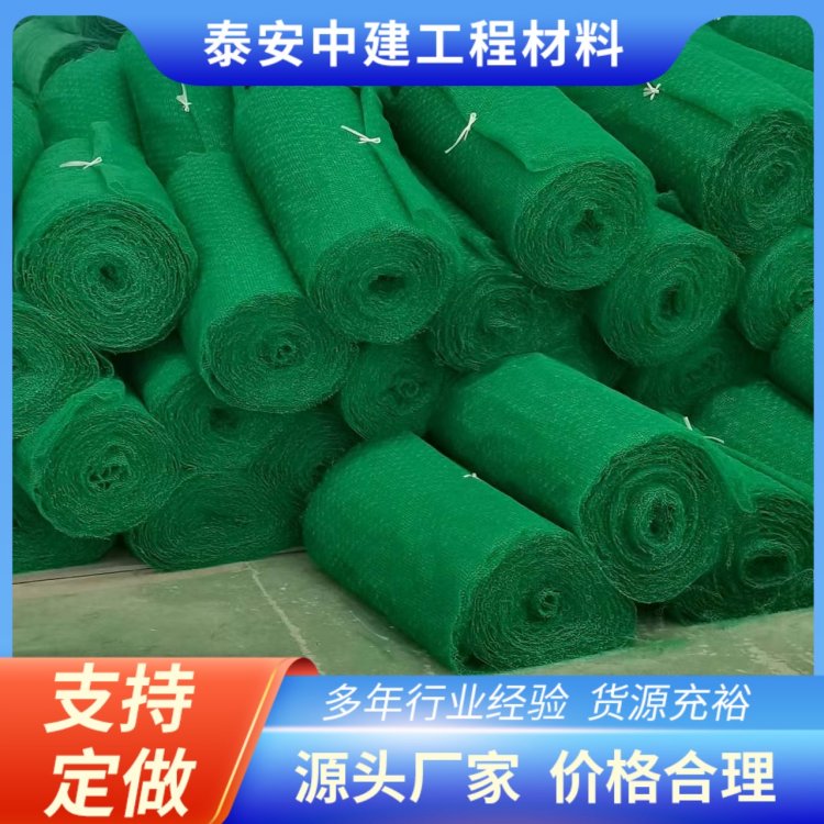 中建定制款三维植被网 护坡绿化好帮手 土工网 塑料网
