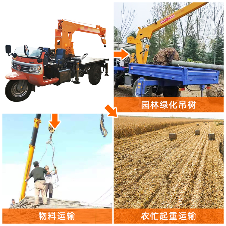 Rural Three Wheel Truck Mounted Crane for the Five March Construction Crane, Nursery Use Three Wheel Crane, 3 Tons, Dingsheng