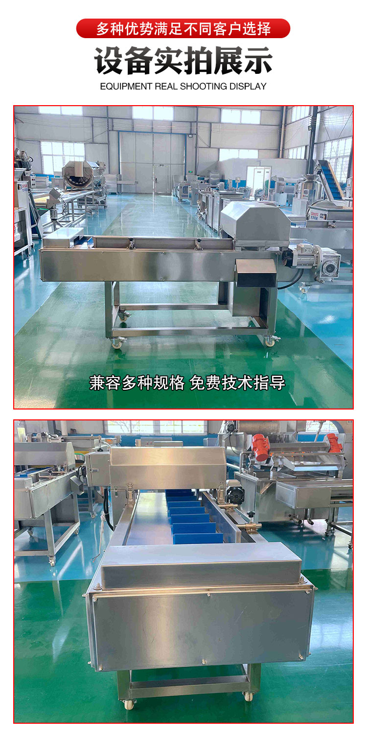 Vegetable root cutting machine QCG2000B Kohler mechanical parallel automatic conveying root cutting machine