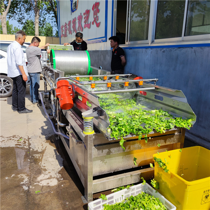 Vegetable eddy current cleaning machine, complete equipment for vegetable cleaning and processing, prefabricated vegetable cleaning, vibration and water removal equipment, Zhengkang