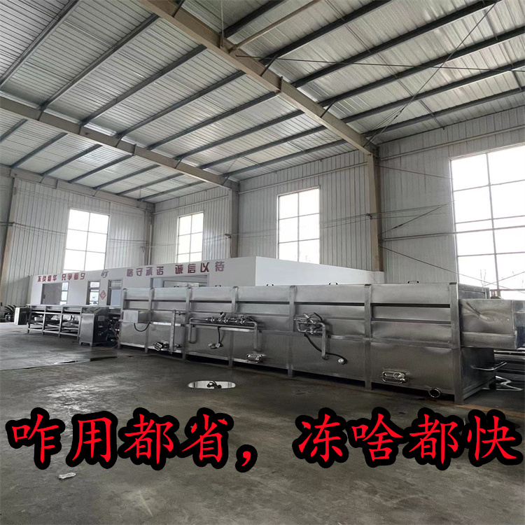 Huayuan Automation Bamboo Shoot Quick Frozen Equipment Immersion Type Fresh Frozen Machine Immersion Quick Frozen Machine HY-635