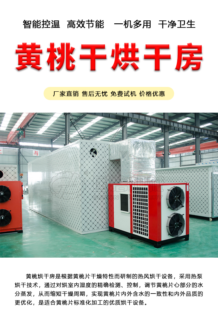 Guoxin Intelligent Fruit Drying Machine Huangtao Slice Drying Room Mango Drying Equipment Household Fruit and Vegetable Drying Machine