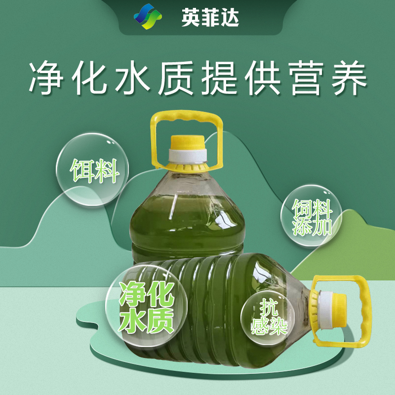 Liquid Chlorella Fish, Shrimp, and Crab Pond Culture, Targeted Algae Cultivation, Fertilizer, Water Promotion, and Opening Feed for Seedling Growth