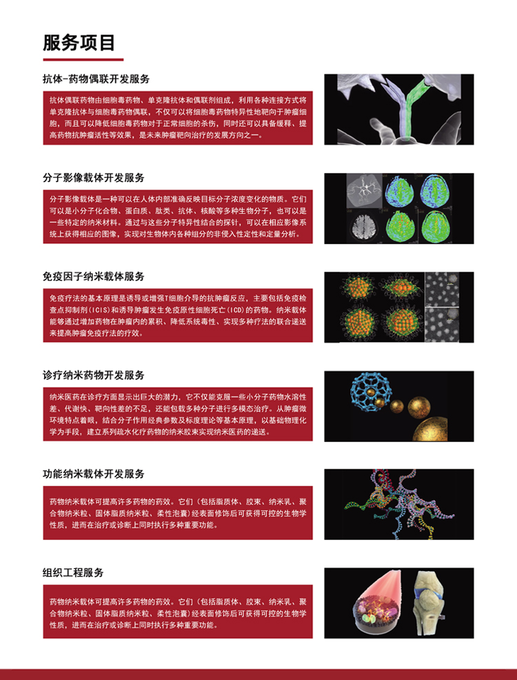 High purity nanoscale zirconia monoclinic zirconia ceramic material ZrO2