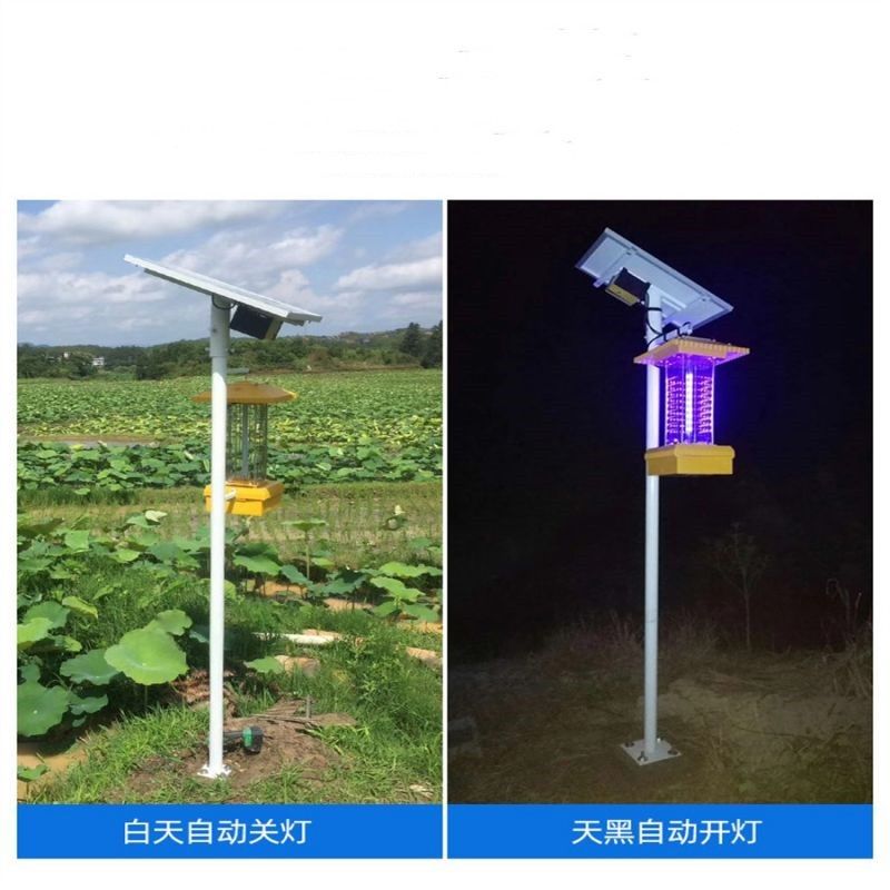 Installation of Photovoltaic Solar Insecticide Lamp for Farmland Farming and Mosquito Control Simple Orchard Tea Garden Greenhouse Fish Pond Scenic Area Insecticide