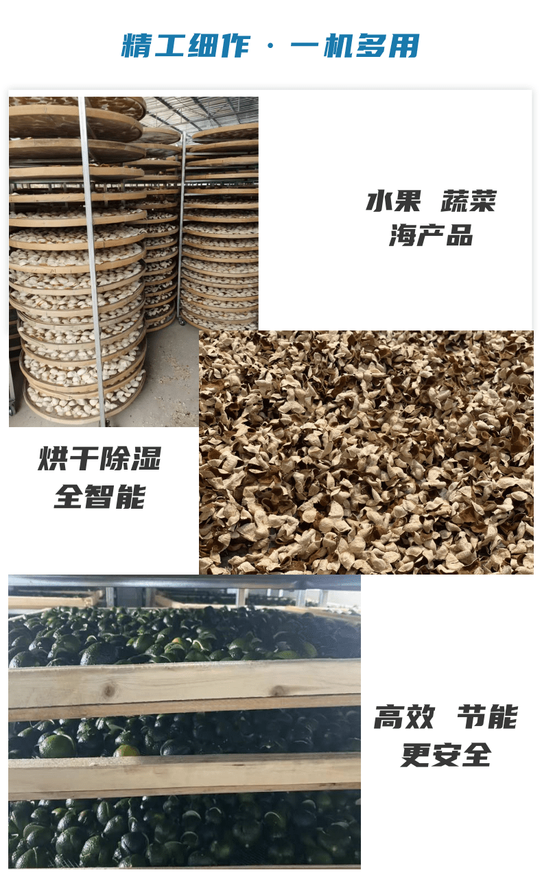 Custom mulberry fruit and vegetable drying room seafood low-temperature Dehumidifier high-temperature drying oven