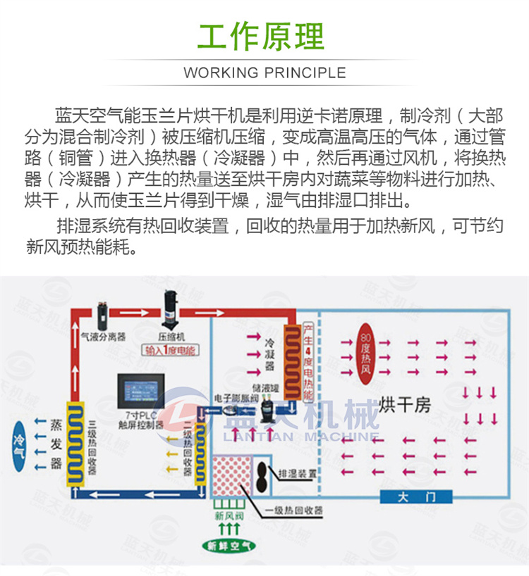 Magnolia Slice Drying Machine Large Heat Pump Fresh Bamboo Shoot Slice Drying Room Intelligent Drying Equipment for Tender Bamboo Shoot Tip Dried Bamboo Shoot