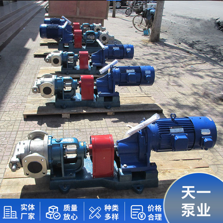 NYP30 high viscosity pump internal gear rotor pump electric heating insulation gear pump stable operation Tianyi Pump Industry