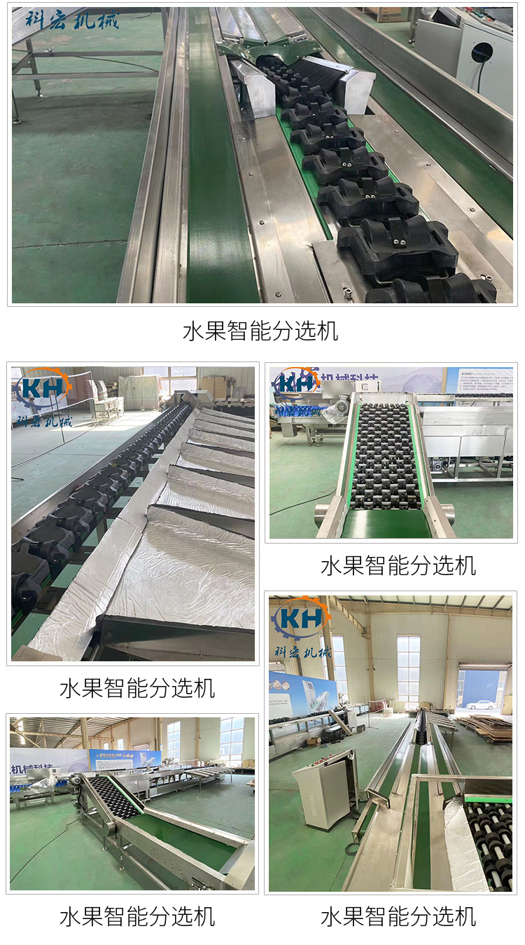 Fruit sorting machine avocado weight classifier dragon fruit mango apple citrus fruit selection equipment