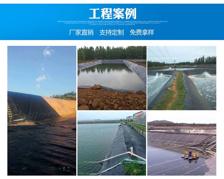 Sentai Geotextile Rough Surface Column Point Geomembrane EVA New National Standard Film Manufacturer Durable and Corrosion-resistant