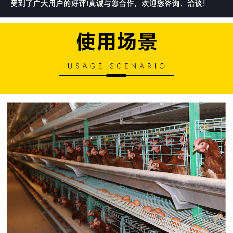 Large scale chicken farm equipment, Alashan League chicken farming equipment, automated chicken coop design, Alashan League chicken farm equipment, laying hens, broilers, and chicken farming equipment, wastewater discharge equipment for breeding farms