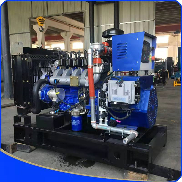 Blue Light Power 50kw Gas Generator Set Small 50kW Natural Gas Biogas Generator