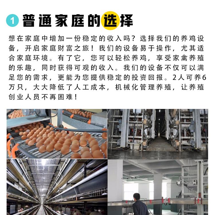 Net raised broiler equipment Xinxiang chicken farm equipment Xinxiang chicken farm equipment How many days does the egg chicken farm produce egg laying chickens Meat chicken farm equipment City chicken farm