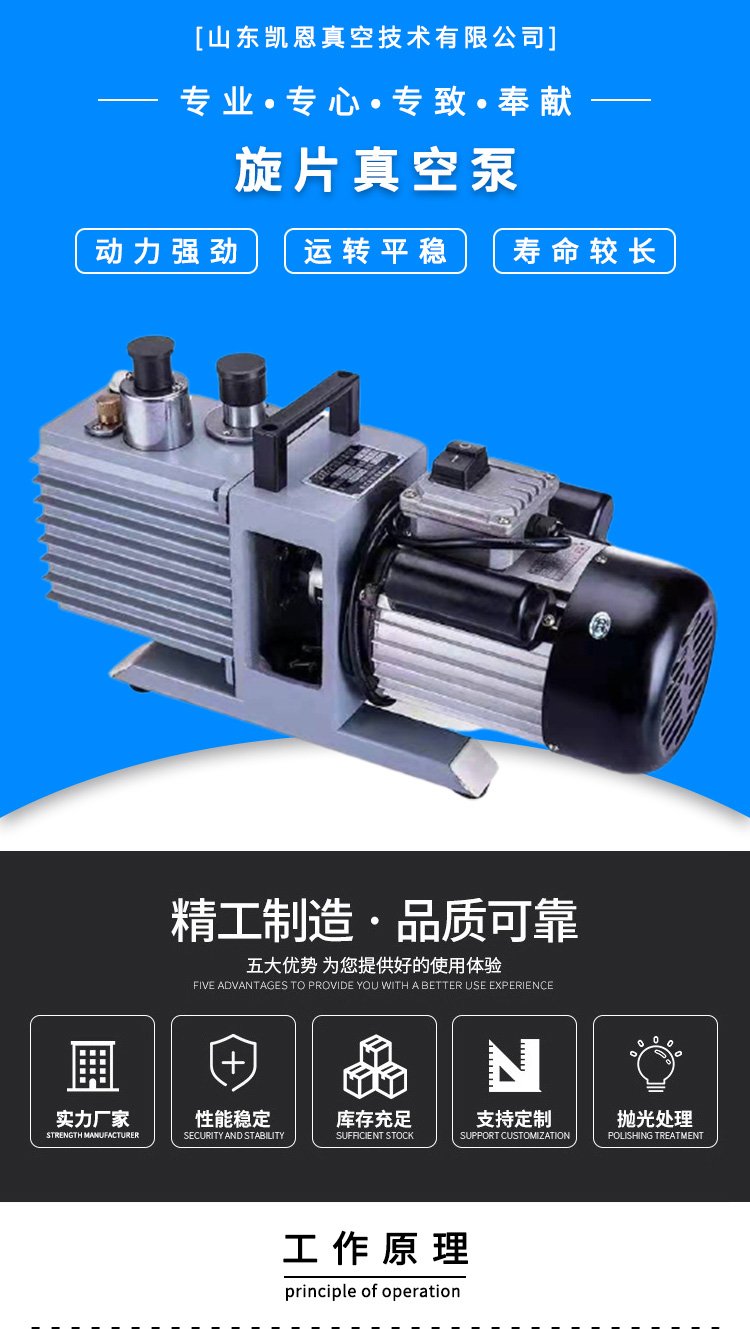 Kane rotary vane pump, oil pump, carbon vane vacuum pump, low noise, low vibration, and long service life