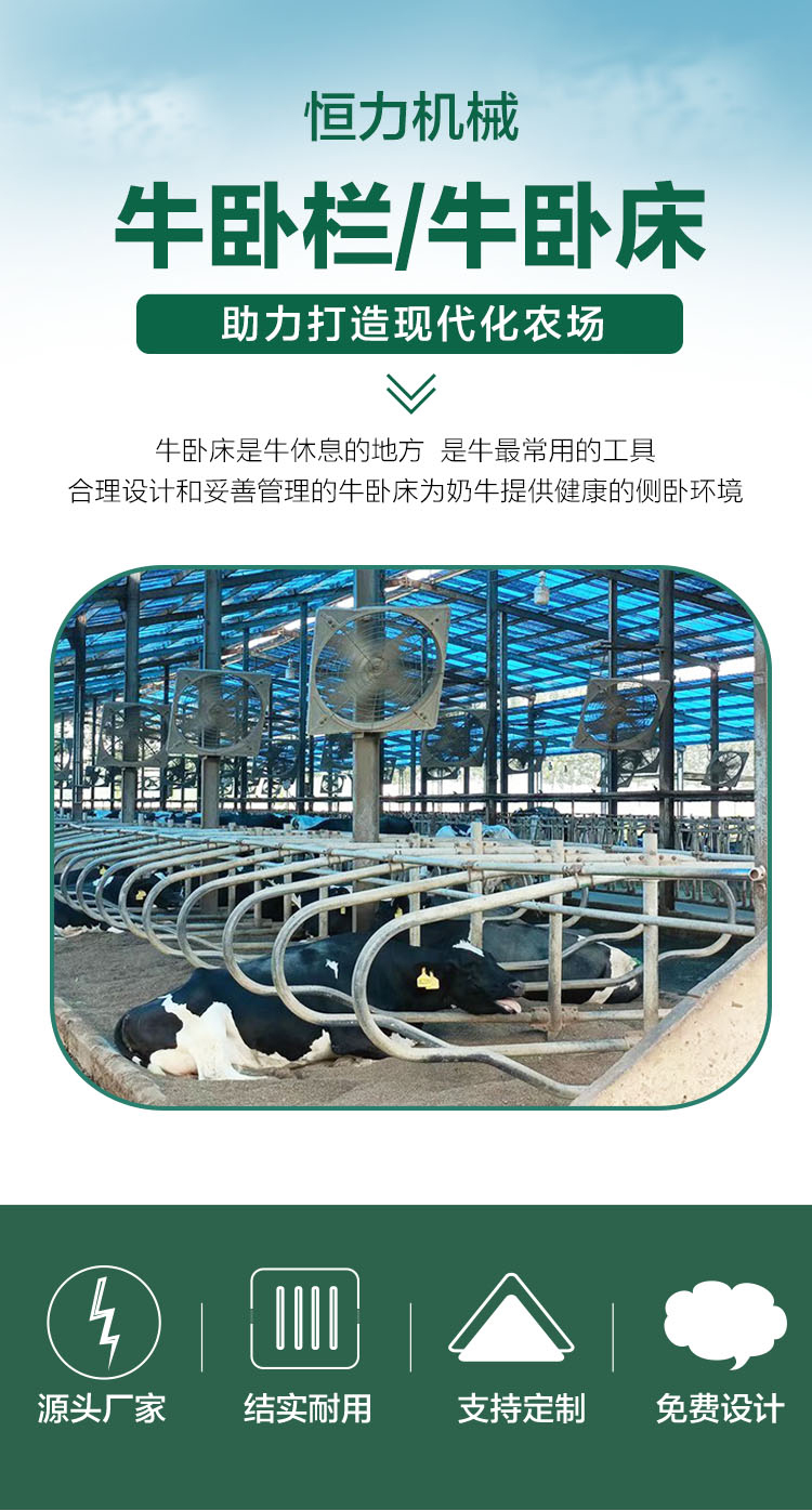 Hengli Brand Cattle Raising Equipment - Cattle Beds for Cows - Cattle Beds for Cows - Corrosion-resistant, Comfortable, Rustproof, and Galvanized Pipes