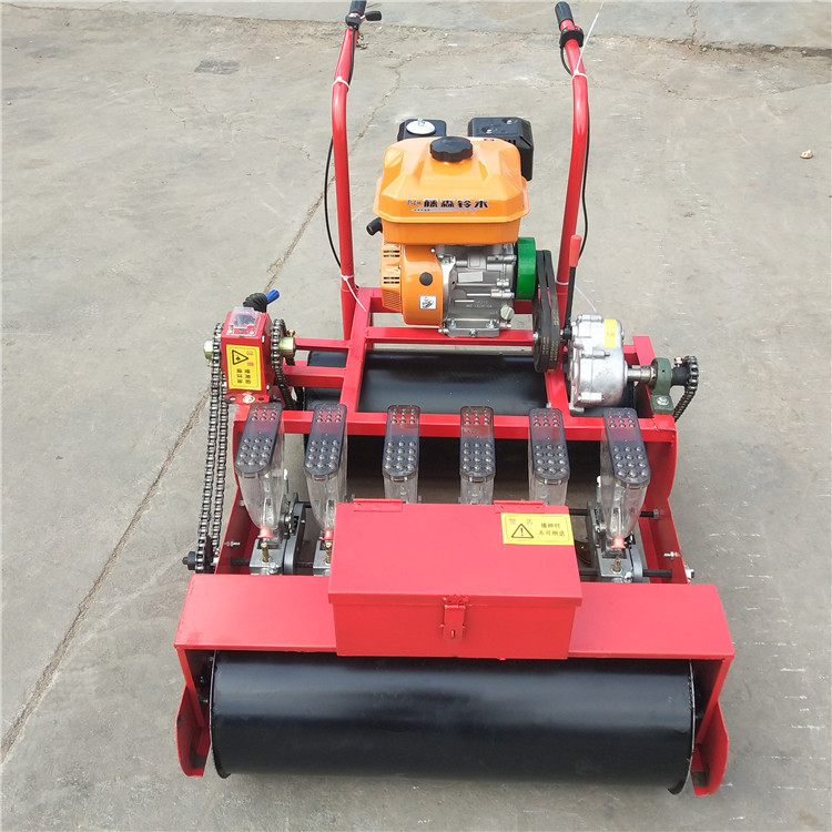 Small agricultural gasoline precision seeder, celery and coriander planting seeder, multi row bitter herb planting equipment