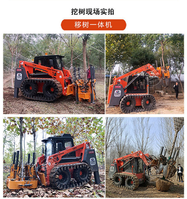 Large shovel tree excavator with soil ball and compact structure for continuous operation