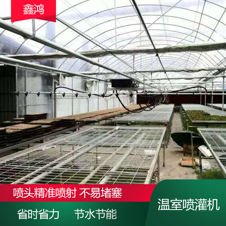 Single and double track suspension sprinkler irrigation machine in greenhouse with rotating and movable nozzle, precise spraying and water-saving